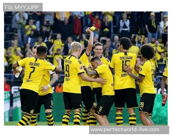 德甲惊天冷门那不勒斯狂胜多特蒙德五球引发全场震撼